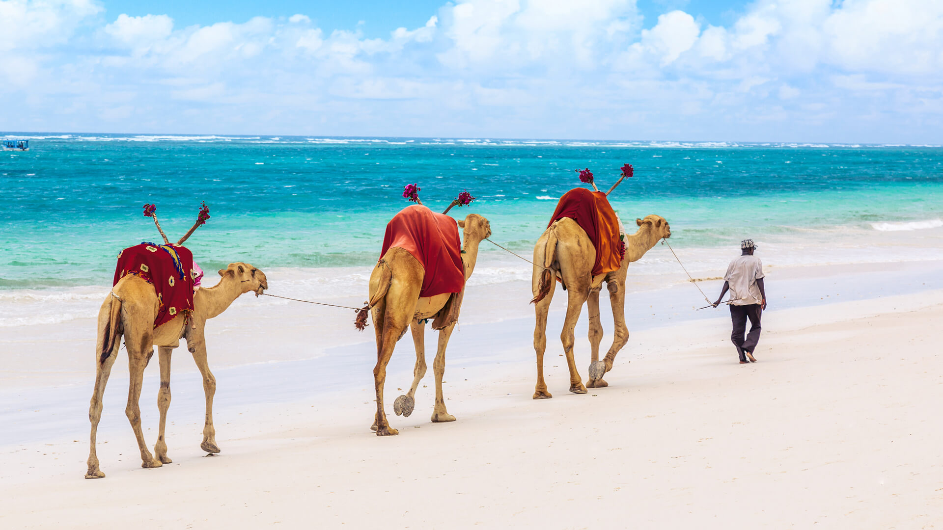 Camel-rides-at-Mombasa-Beach-Kenya-Coast