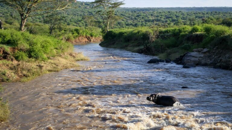 Kenya-Laikipia-Suyian-Conservancy-Ewaso-Narok-River_1-768x432