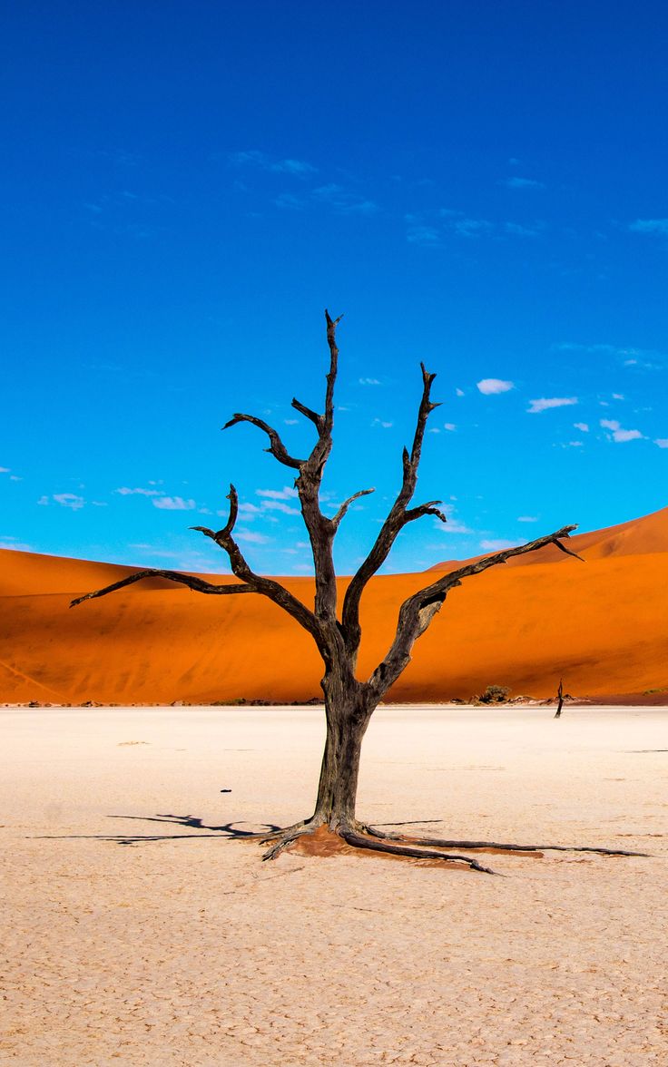Namibia, Deadvlei