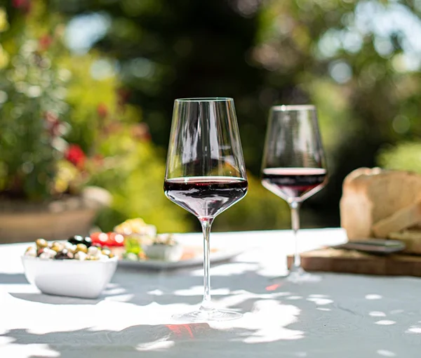 Top 10 Destinations to Visit for Wine Lovers