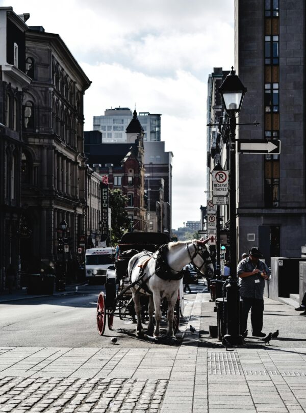 city tour