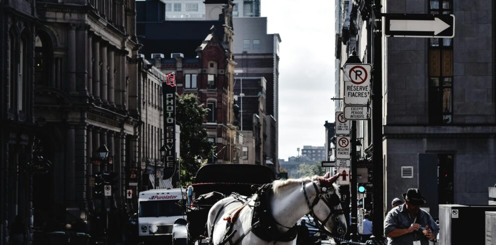 city tour