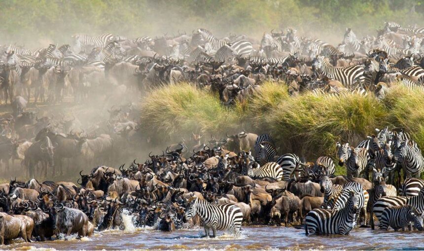 Month-by-Month Guide to Traveling to Kenya